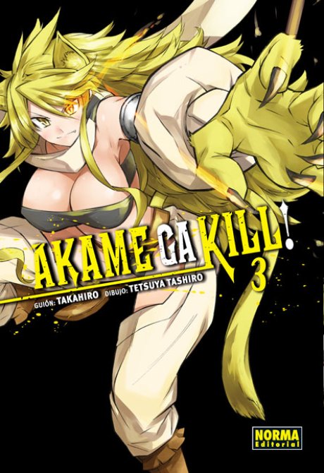 AKAME GA KILL! 3