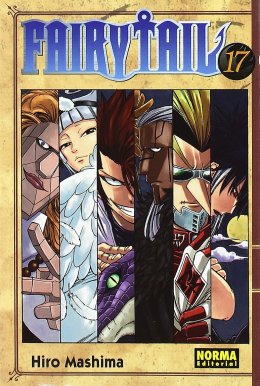 FAIRY TAIL 17