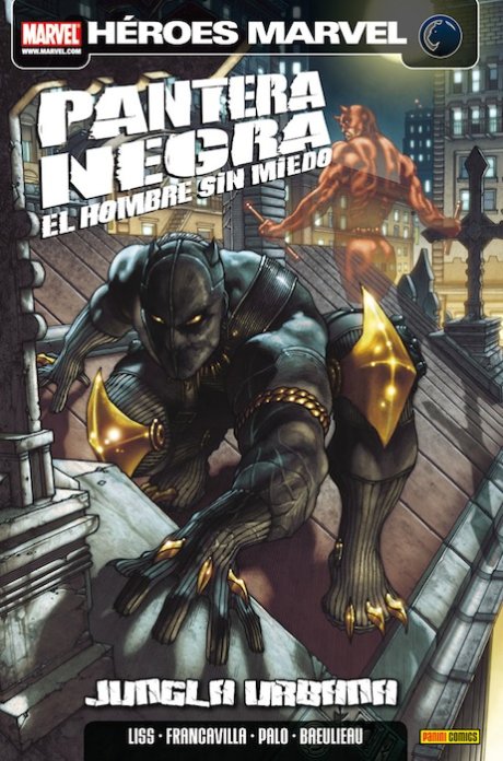 Pantera Negra: El Hombre Sin Miedo 1